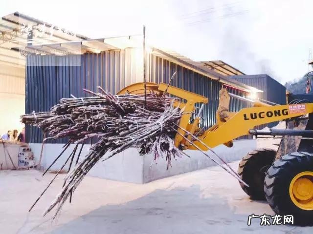 贵州红糖什么牌子正宗 贵州黔西南的红糖怎么样?