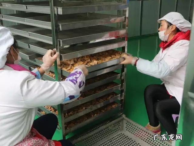 贵州红糖什么牌子正宗 贵州黔西南的红糖怎么样?