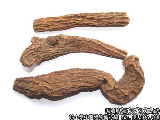 锁阳图片_锁阳的功效与作用