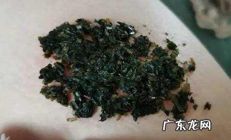 被黄蜂蛰了怎么办?常见中草药敷敷见效快!