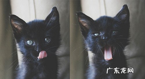 经通天下中医经络特训营5天300元能学到什么东西?