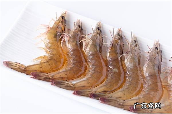 可以补肾壮阳的食品,哪些食物最补肾壮阳