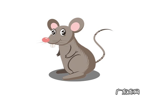 鼠疫的传播途径主要有 鼠疫的传播途径