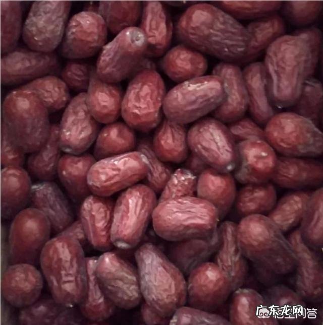 黄芪、枸杞、桂圆和红枣能一起泡水喝吗?有什么功效吗?