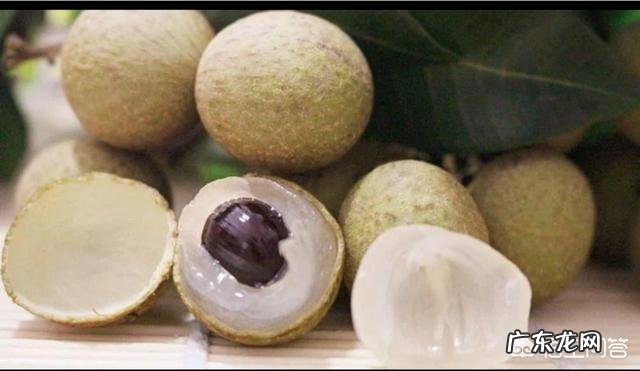 黄芪、枸杞、桂圆和红枣能一起泡水喝吗?有什么功效吗?