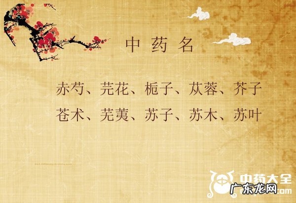 100个有诗意的中药名,唯美中药名寓意好又清新
