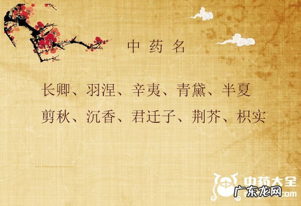 100个有诗意的中药名,唯美中药名寓意好又清新