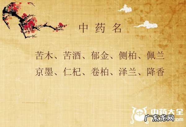 100个有诗意的中药名,唯美中药名寓意好又清新
