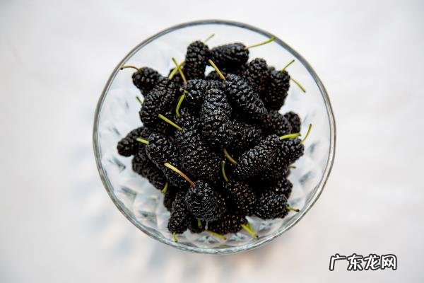 中医10方法根治白头发,中医治白发最有效秘方