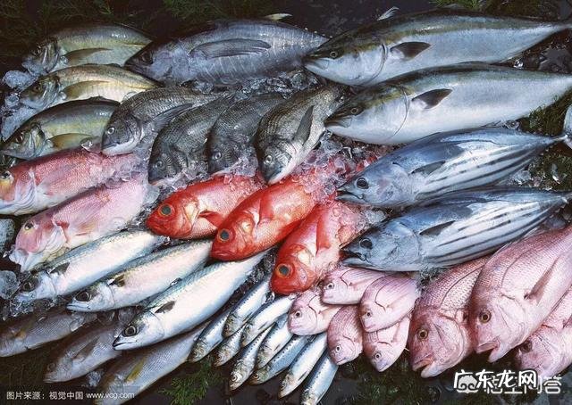 男生体重150-160斤怎么减肥 160厘米的男生重75公斤,哪些方法可以减肥?