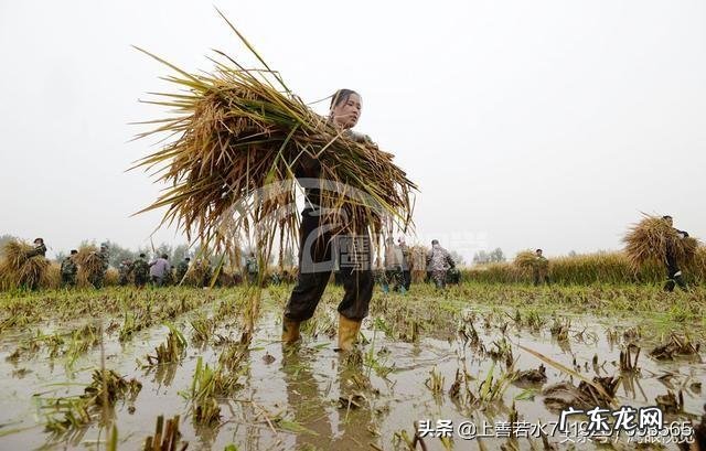 沙皇尼古拉一世是怎么死的