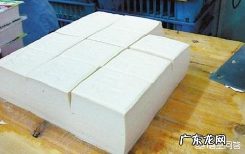 纯种法斗有什么特征好养吗