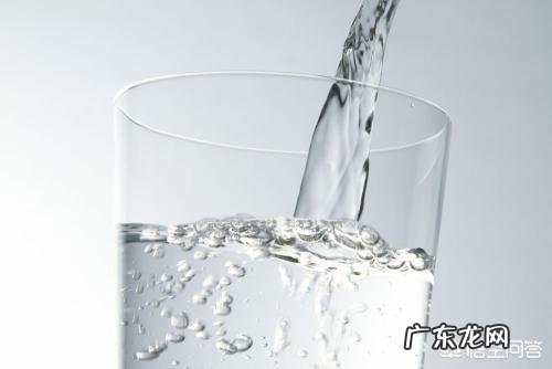 纯种法斗有什么特征好养吗