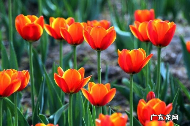 年纪稍大就爱回忆儿时在老家的童年趣事,人们都会这样吗?