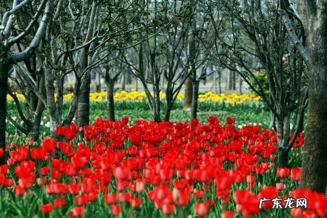 年纪稍大就爱回忆儿时在老家的童年趣事,人们都会这样吗?