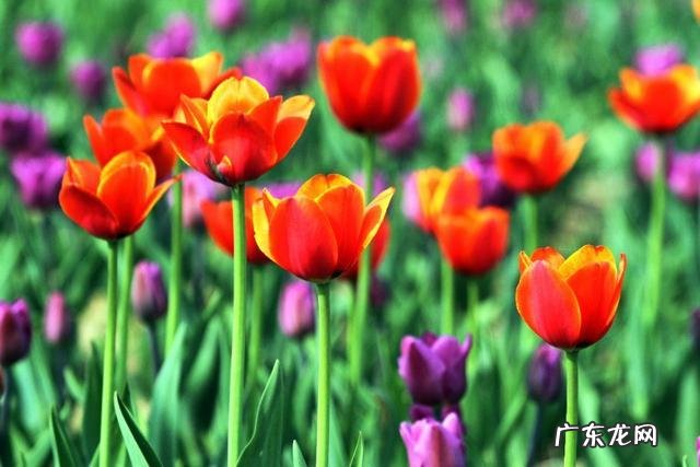 年纪稍大就爱回忆儿时在老家的童年趣事,人们都会这样吗?