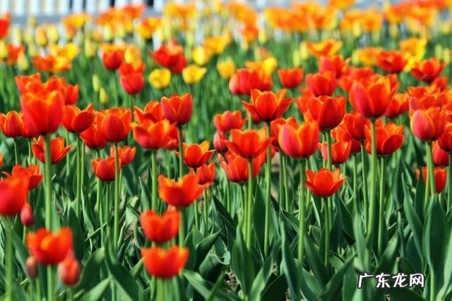 年纪稍大就爱回忆儿时在老家的童年趣事,人们都会这样吗?