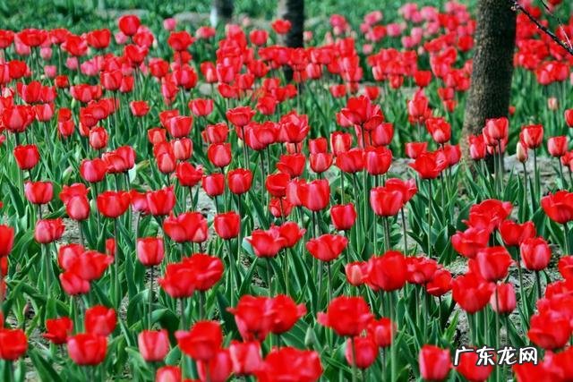 年纪稍大就爱回忆儿时在老家的童年趣事,人们都会这样吗?