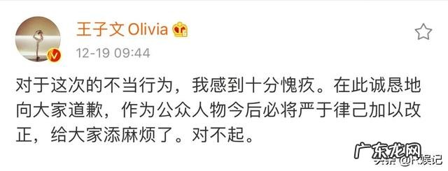 王子文高铁踩桌板是否应该被谴责