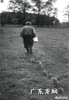 椰子油对宝宝护理有什么作用？