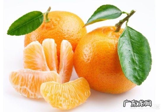 痛风患者可以吃橘子吗?为什么?