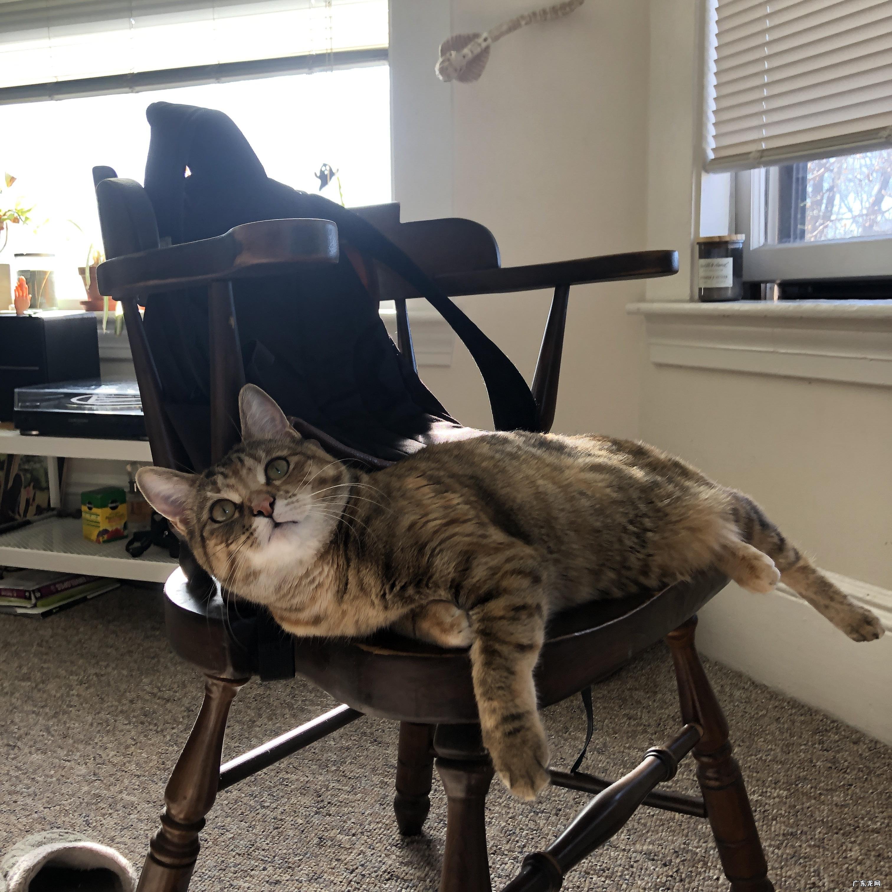 孕妇怎么会出现脚肿的现象