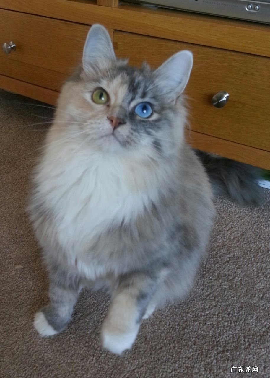 孕期如何控制体重增长过快 孕期如何更好控制体重