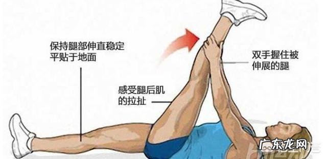 运动后的拉伸和热身 运动大神可否推荐一套运动前热身,和运动后拉伸的动作?