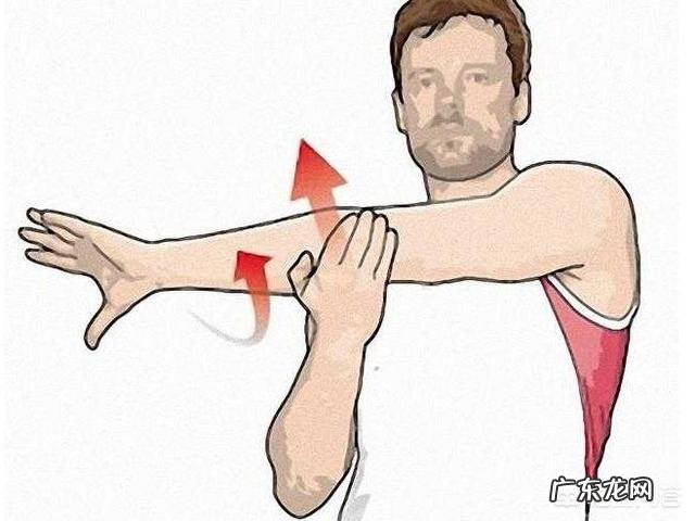 运动后的拉伸和热身 运动大神可否推荐一套运动前热身,和运动后拉伸的动作?