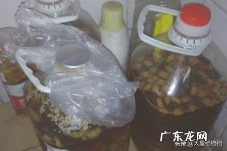 酵素制作方法图解酵素制作技巧？