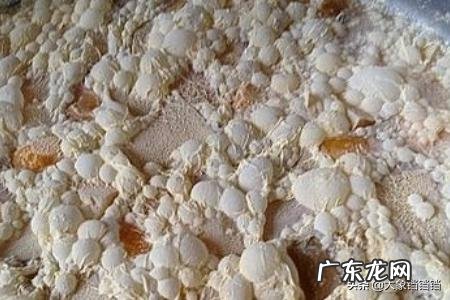 酵素制作方法图解酵素制作技巧？