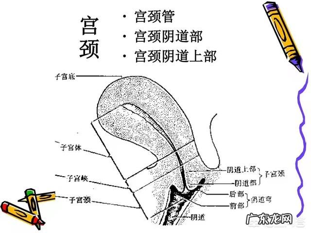 什么是高危妊娠需要注意哪些