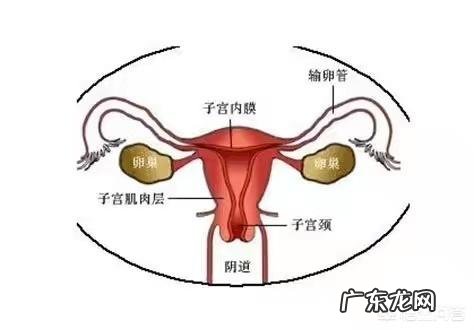 什么是高危妊娠需要注意哪些