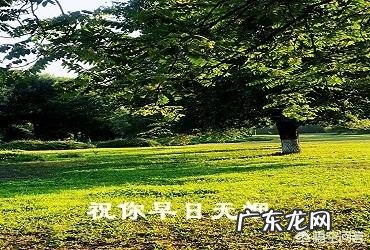 吸烟有害健康,可为什么要生产烟呢