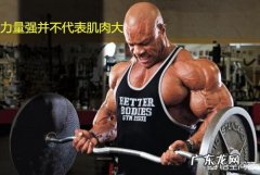 哑铃弯举20kg算什么水平