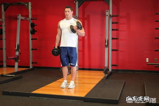 哑铃弯举20kg算什么水平