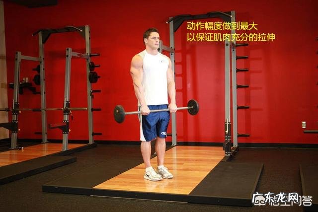 哑铃弯举20kg算什么水平