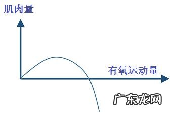 跑步是否真的会消耗肌肉,俗称杀肌?
