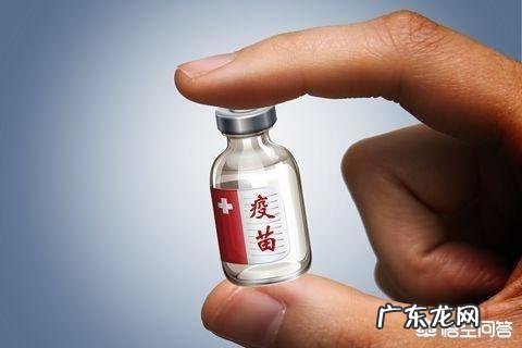 国家食品药品真假查询系统 如何才能让假疫苗、假药品、有毒食品在中国得到彻底根zhi?