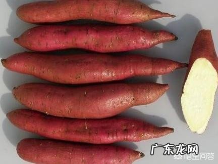白心红薯和红心红薯哪个粉多 白心红薯和红心红薯有什么不一样吗?