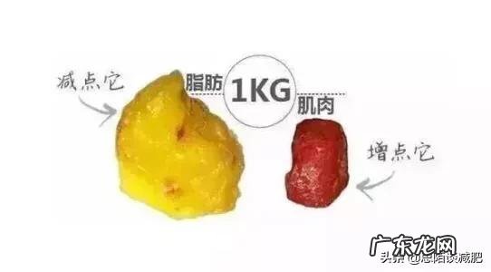 我有氧做得多,无氧做的少,怎么还是长肌肉