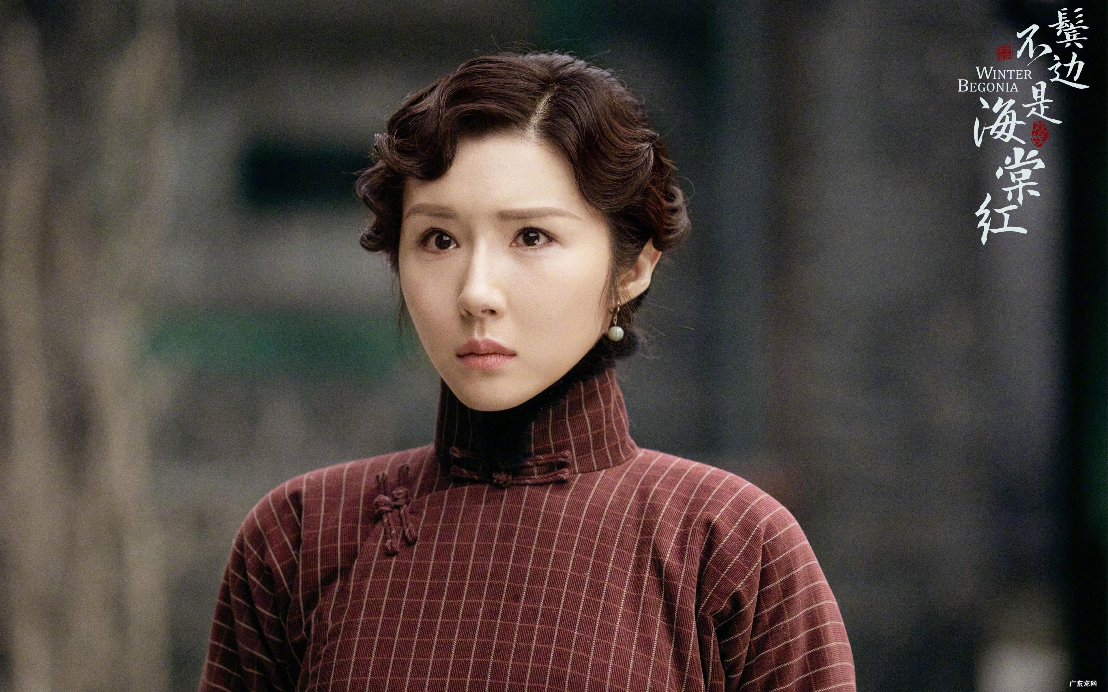 试福特领界,合资车品质,中国品牌定价,能成为爆款吗?