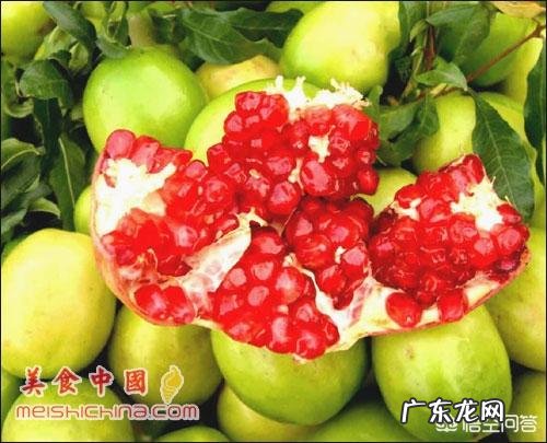 一般富含维生素a的水果和蔬菜有哪些?