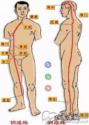 经络究竟是什么？针灸究竟是什么？