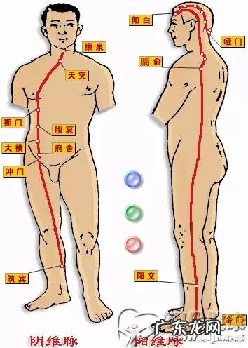 经络究竟是什么?针灸究竟是什么?