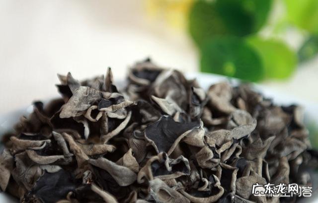 患有结石的病人能不能喝豆浆呢有何依据