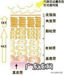 去角质能预防哪些皮肤问题