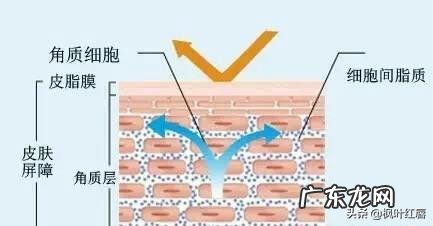 去角质能预防哪些皮肤问题