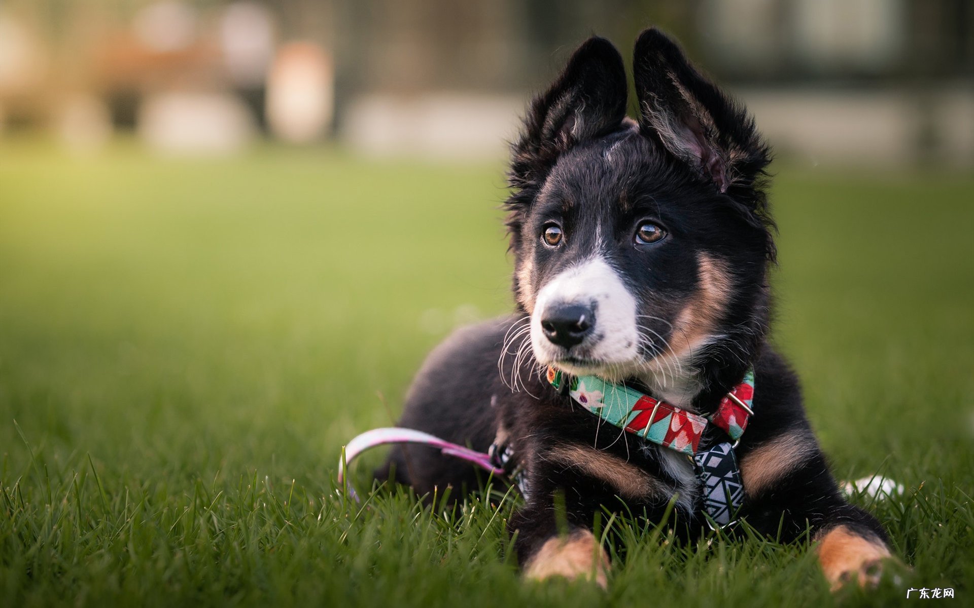全身减肥的减肥药有那些?要好的,真的能减才可以哦!