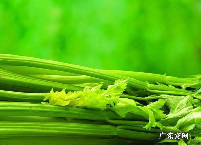 冰水真的能减肥吗 冰水其实是负热量的喝下去能减肥吗?